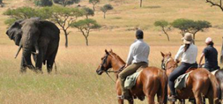 FAQs about horseback riding in Lake Mburo National Park