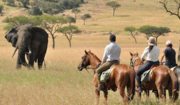 Top activities while on a Ugandan safari