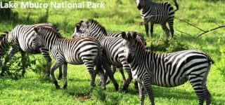 Facts about Lake Mburo National Park