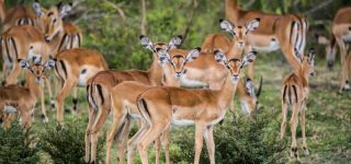 Lake Mburo National Park Weather