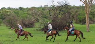 Activities in Lake Mburo National Park