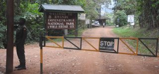 Getting to Bwindi Impenetrable National Park