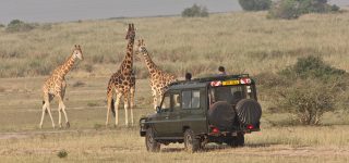 Uganda National Parks Rules and Regulations 2020/2022