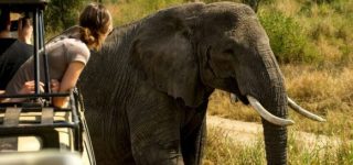 7 Days Uganda Wildlife & Gorilla Trekking Safari