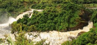 6 Days Murchison Falls & Bwindi Forest Safari