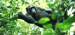 Getting to Kibale National Park