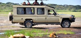 Is Uganda Safe for Safari 2020 -22