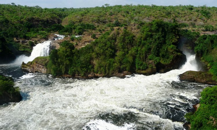6 Reason Why You Should Visit Murchison Falls National Park