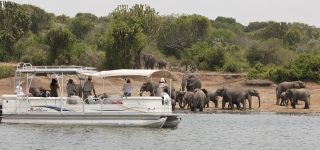 7 Days Uganda Rwanda safari