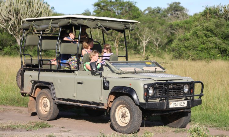 Game Drives Safaris in Lake Mburo national park
