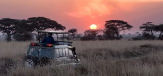 Game drives  Safaris in Lake Mburo national park