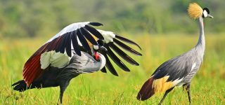 bird watching destinations