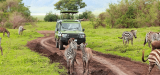 Gates of Lake Mburo National Park