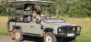 Self-Game Drives in Queen Elizabeth National Park