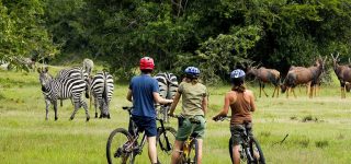 Park Entrance Fees For Lake Mburo