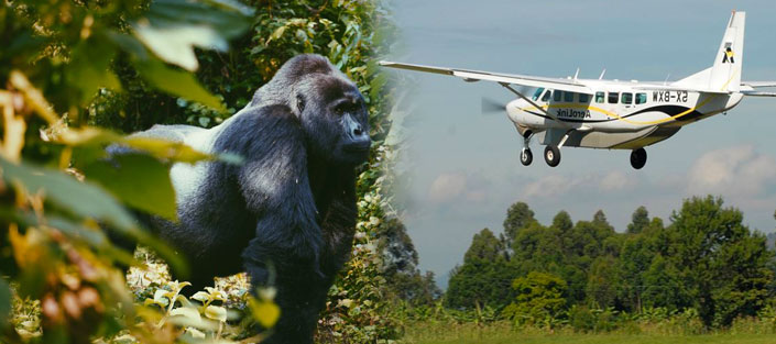 13 Days Luxury Fly in Uganda Safari
